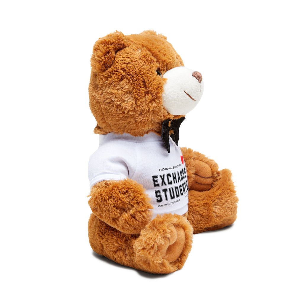 Emotional Support Teddy Bear 🧸 | Exchange Students Plushie