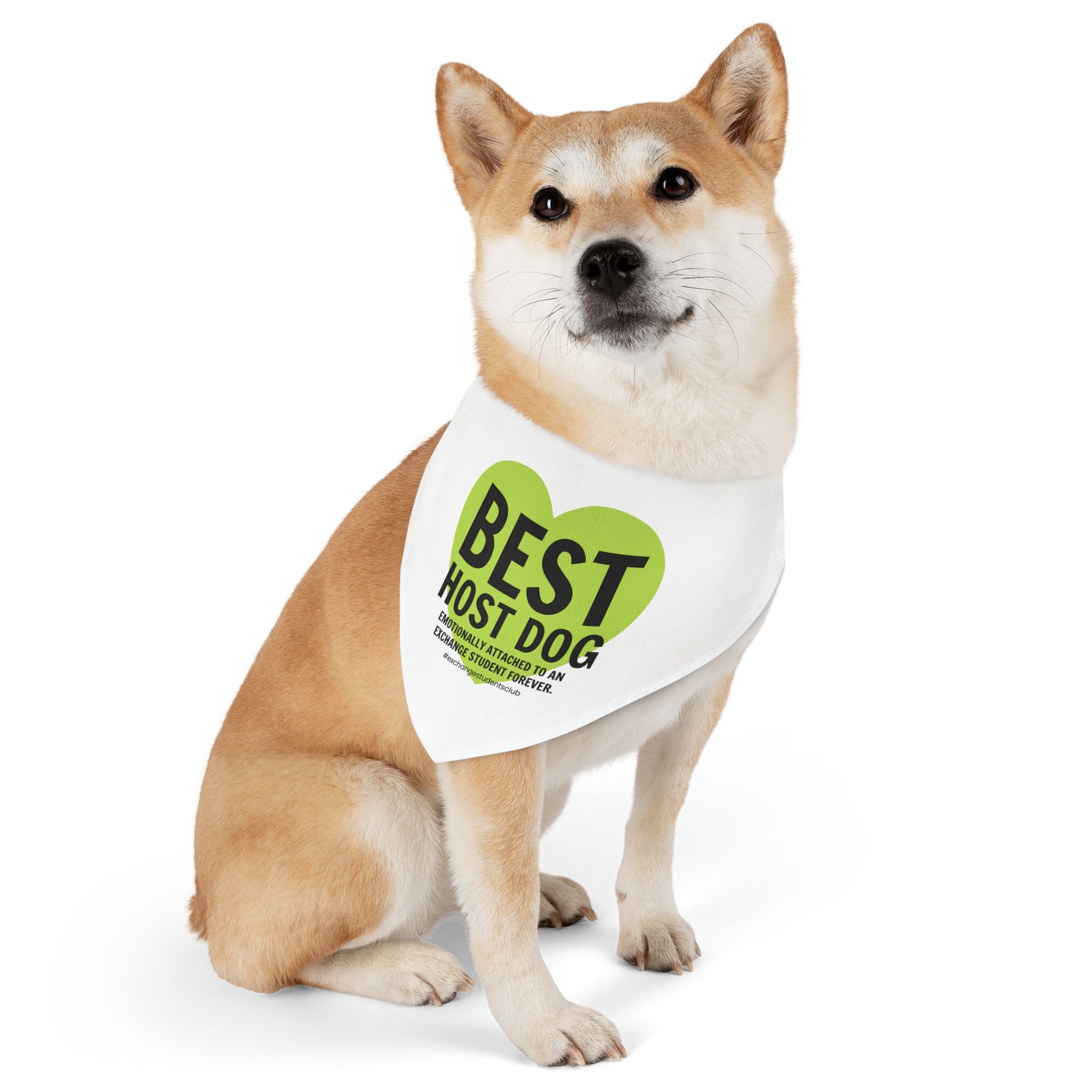 Best Host Dog Bandana Collar 💚 | Funny Exchange Student Dog Bandana