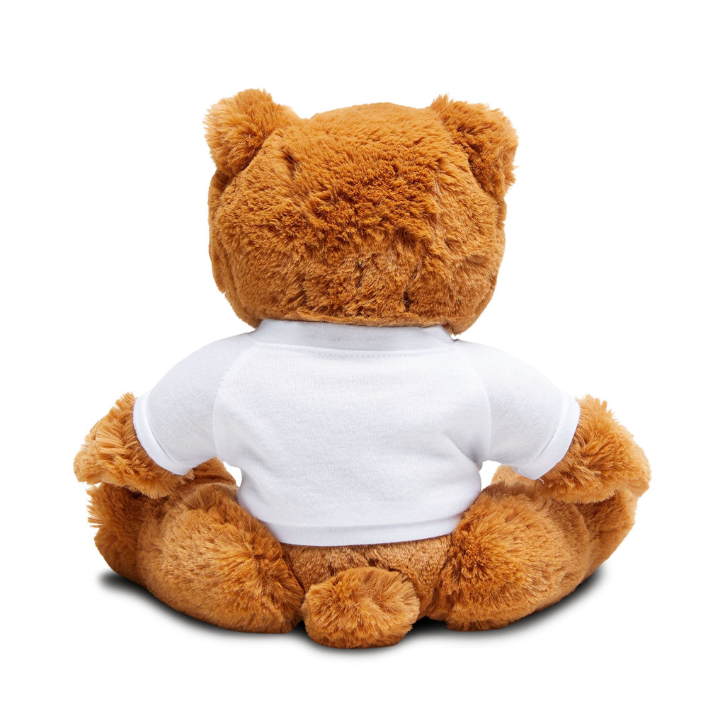 Emotional Support Teddy Bear 🧸 | Exchange Students Plushie